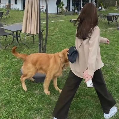 理想主义者 海报